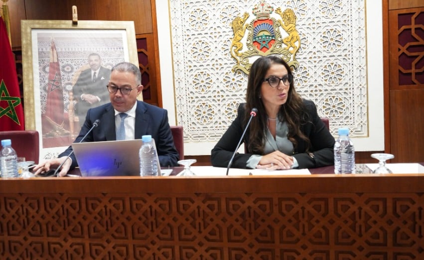 لجنة المالية بمجلس النواب - قوزي لقجع - مشروع قانون المالية 