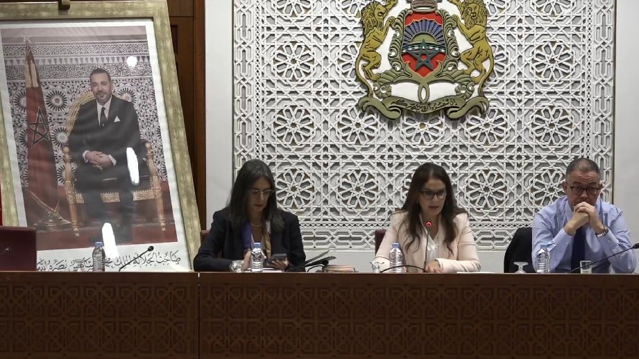 لجنة المالية بمجلس النواب 