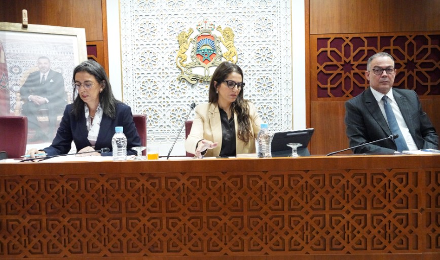 لجنة المالية والتنمية الاقتصادية 
