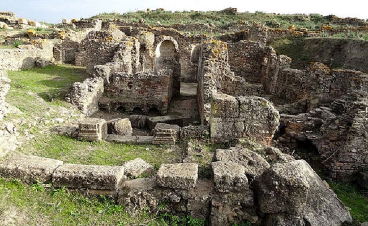 Tamusida