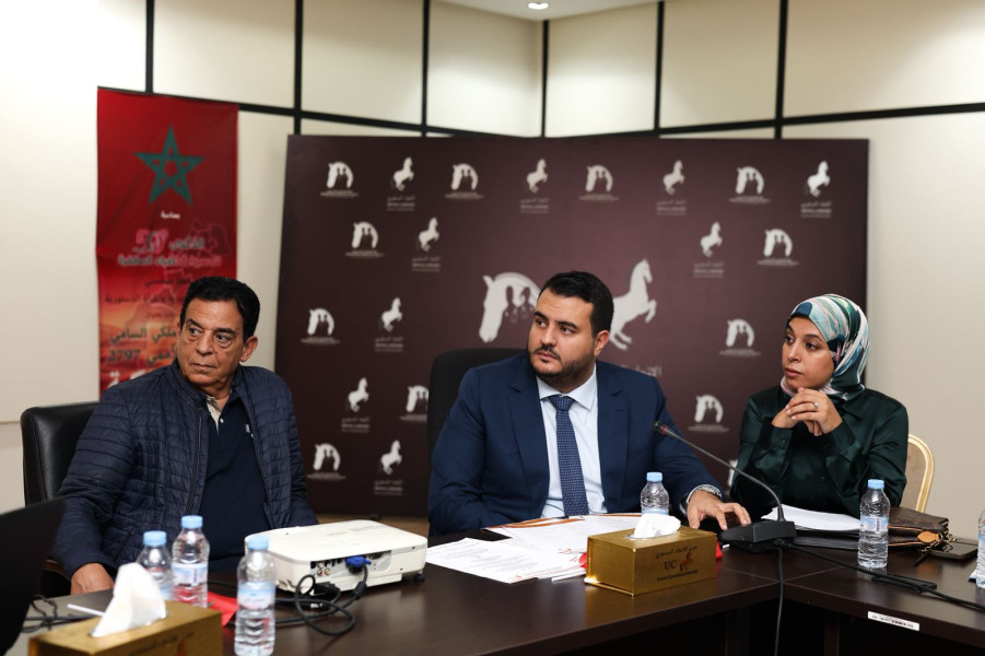 المنظمة الوطنية لمهنيي الصحة الدستوريين تنظم دورة لتمكين مهنيي الصحة سياسيا