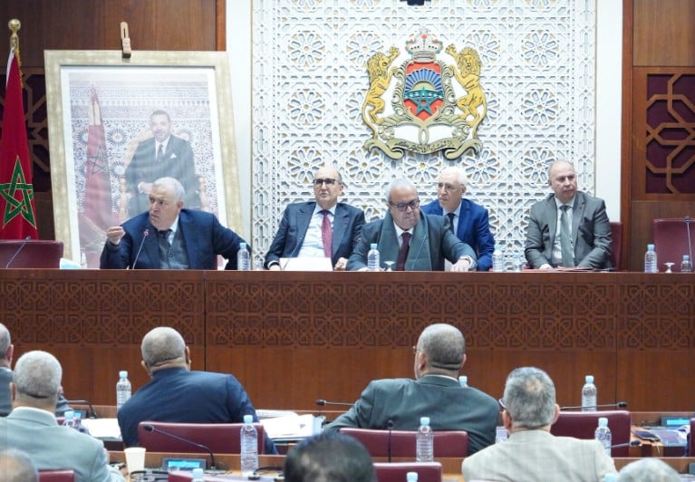 لجنة الداخلية بمجلس النواب - عبد الوافي لفتيت