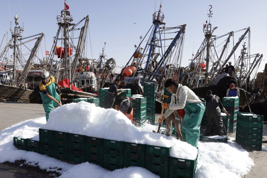 port laayoune_pêche