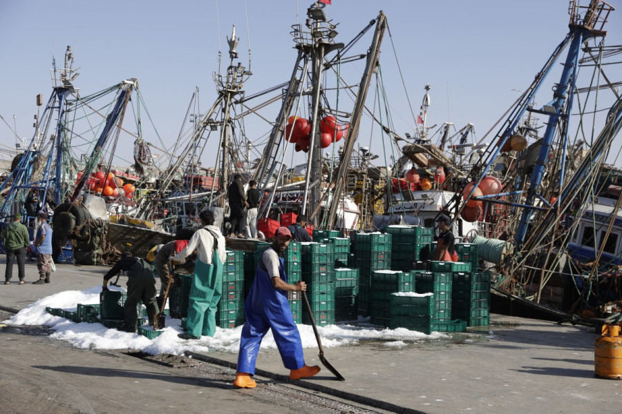 port laayoune_pêche