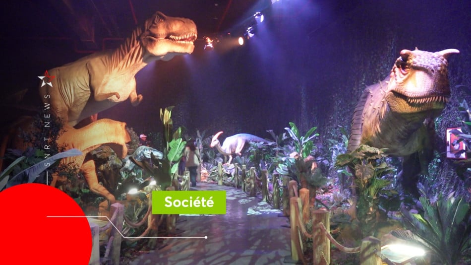 Dinosaures