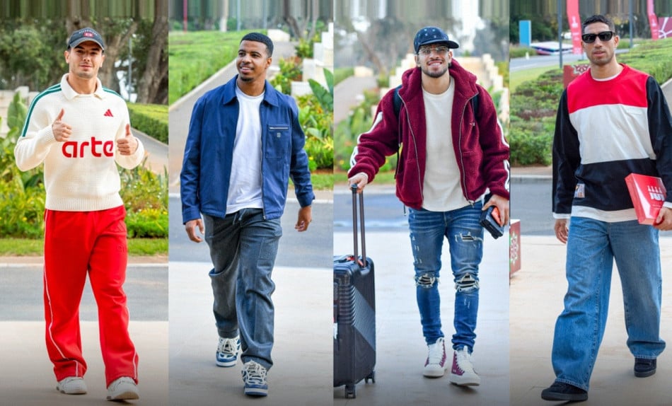 les lions