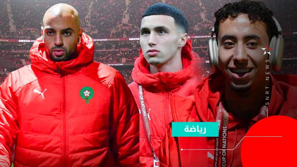 les lions