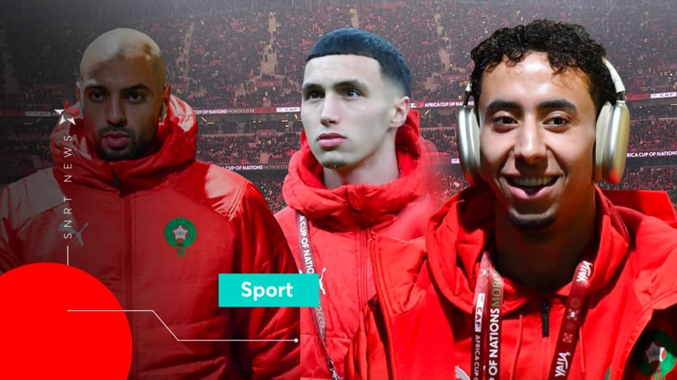 Lions de l'Atlas