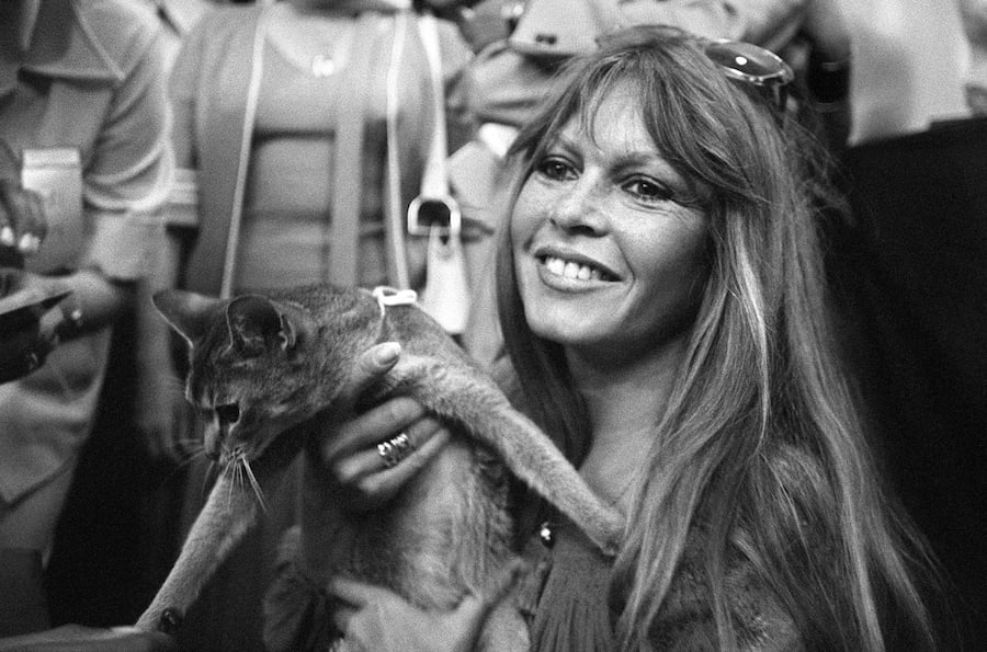 وفاة أيقونة السينما الفرنسية بريجيت باردو عن 91 عاما
