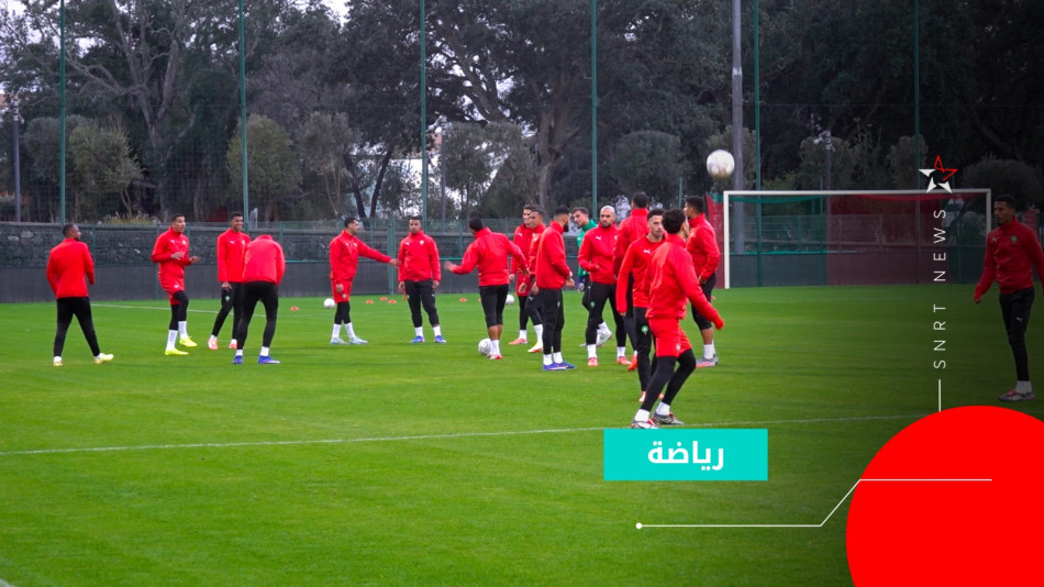 أسود الأطلس