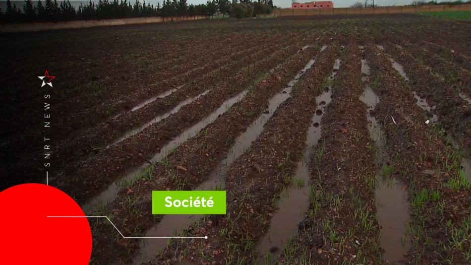 Agriculture