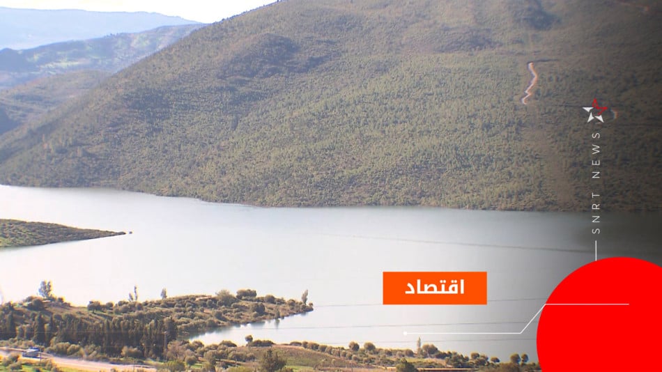 حوض