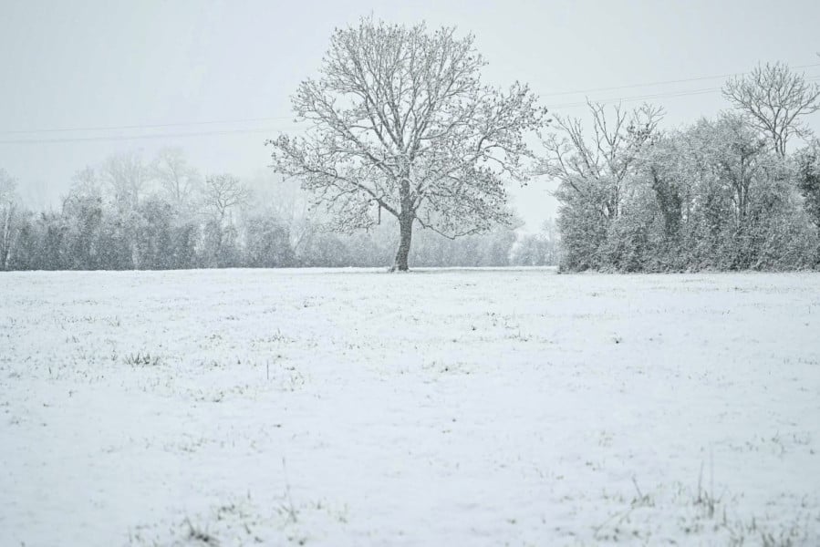 neige