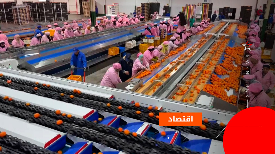 الحوامض
