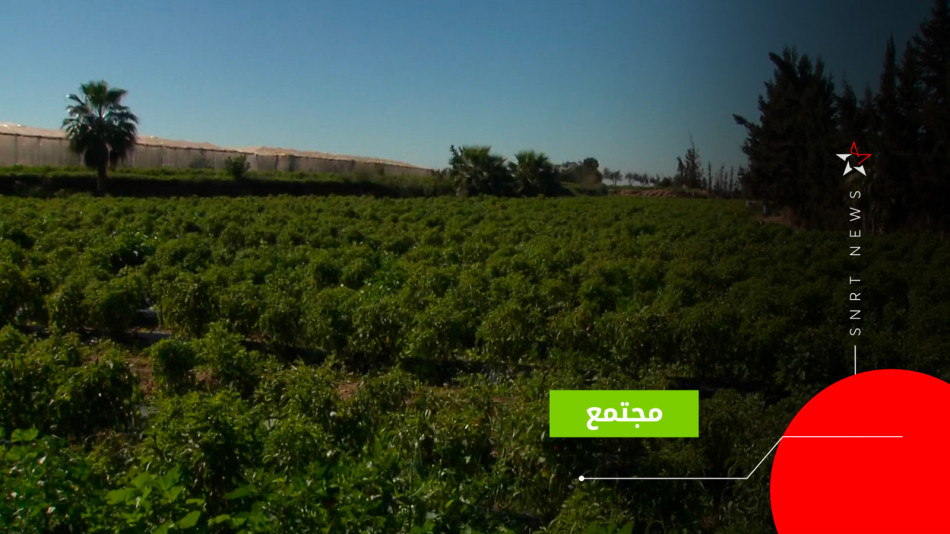 سهول هوارة 