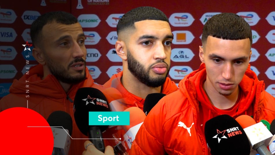 Lions de l'Atlas