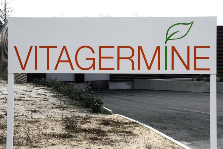 Vitagermine 