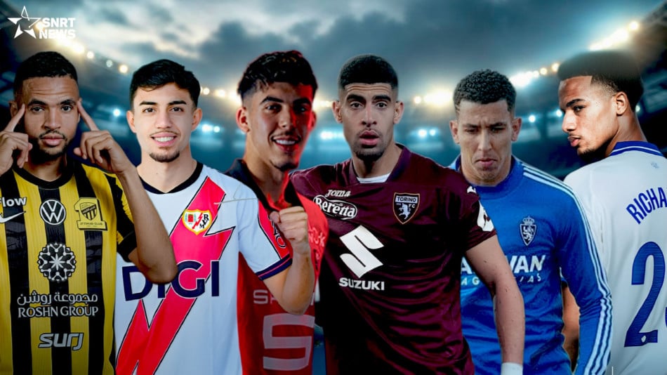 mercato les lions