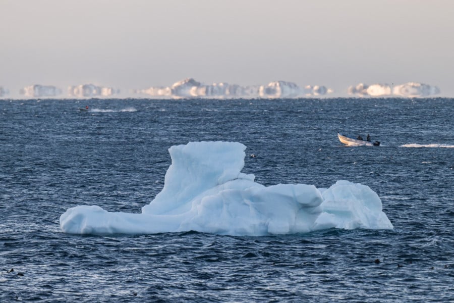 Iceberg