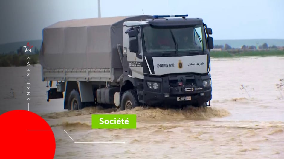 Connaisseur