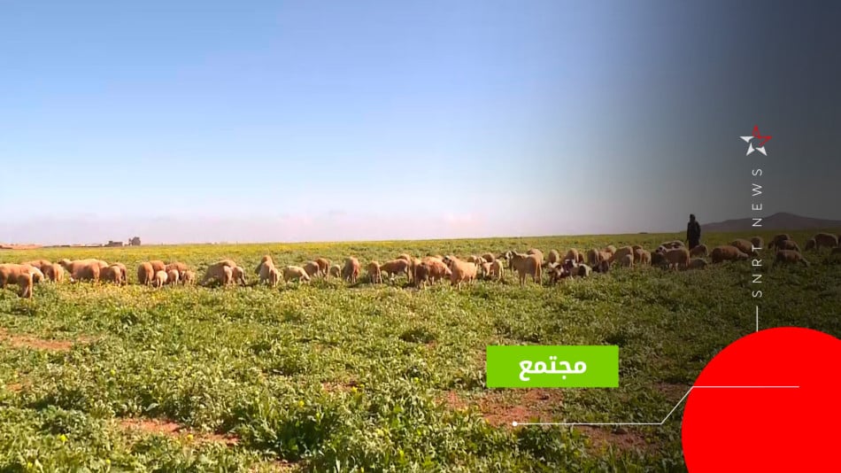 فلاحة بمراكش