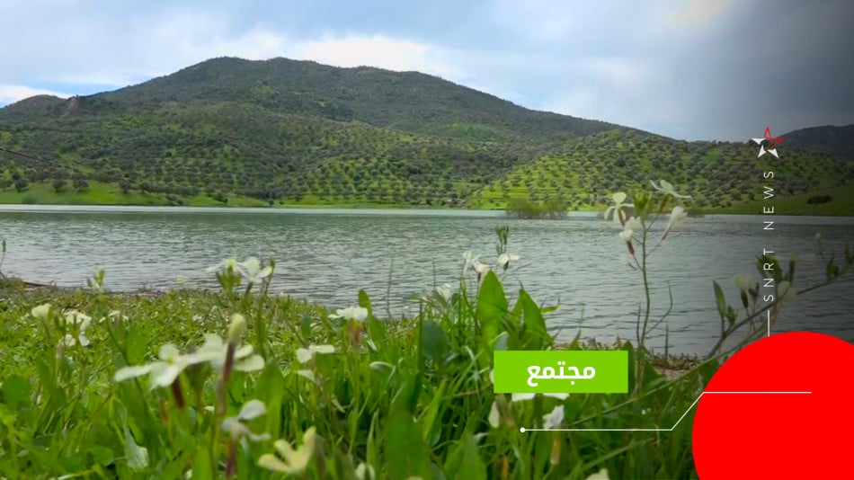 taounat