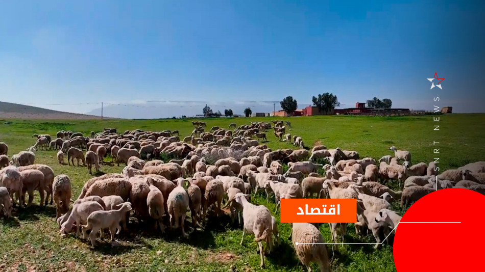 oujda