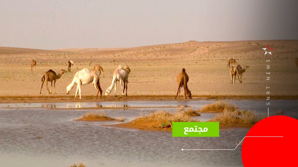 dakhla