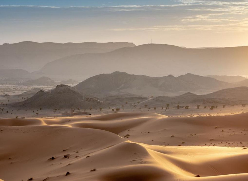 معرض "في البحث"