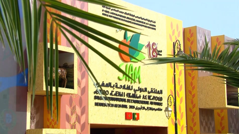 بث مباشر .. معرض مكناس ..  الإنتاج الحيواني وتحول الأنظمة الغذائية
