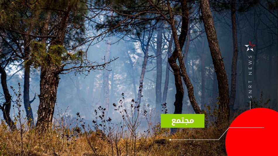 حرائق الغابات 