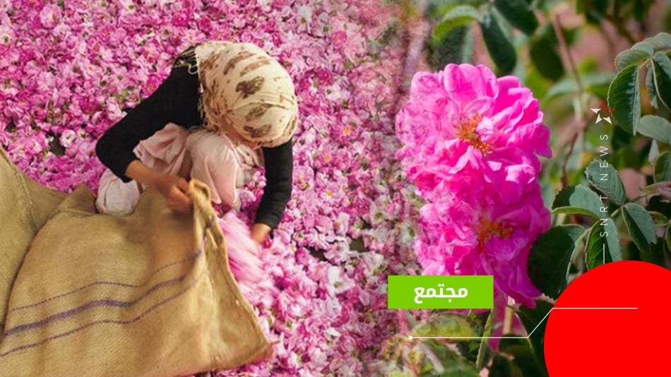 قلعة مكونة