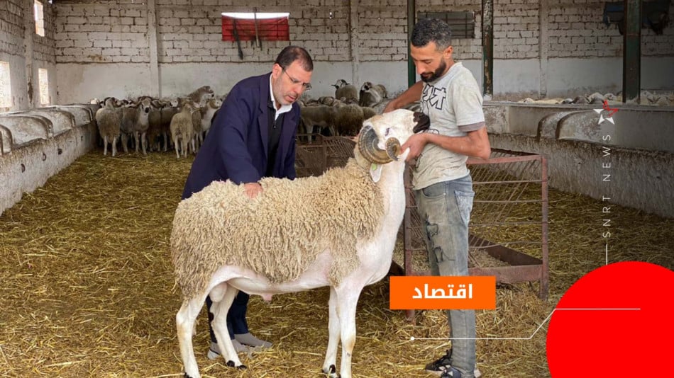 عيد الأضحى