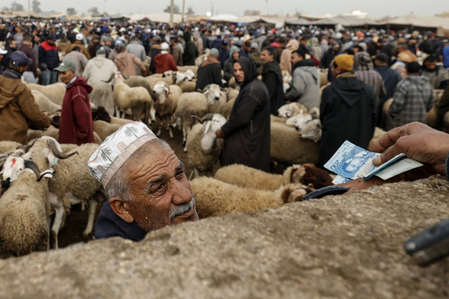 moutons