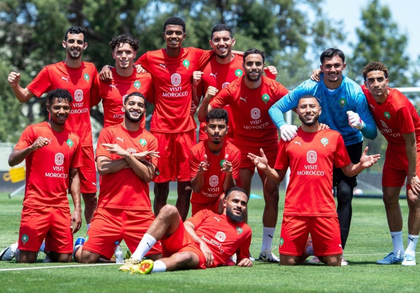 Lions de l'Atlas 