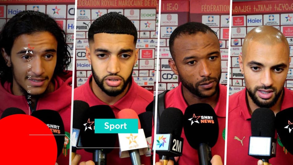 Lions de l'Atlas