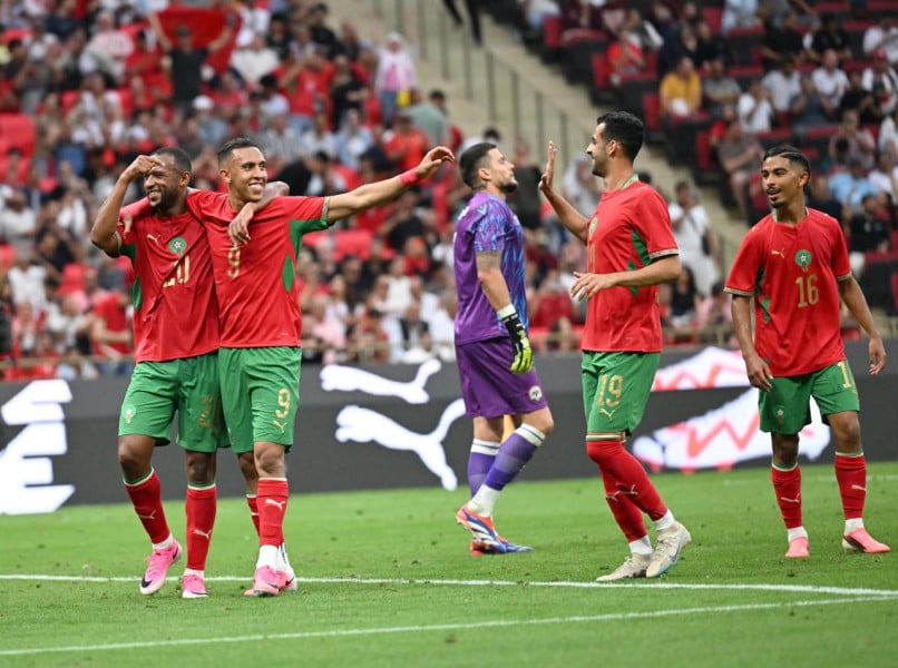 Lions de l'Atlas