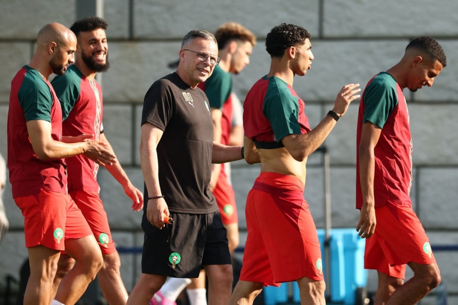  مونديال.. الأسود تُنهي استعداداتها قبل مواجهة البرازيل