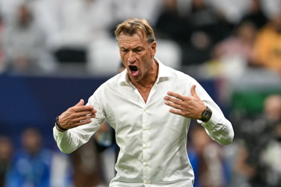 هيرفي رونار يتولى تدريب المنتخب التونسي