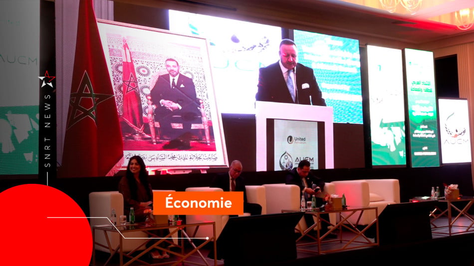 Arab Union for Energy & Minerals (AUEM)
