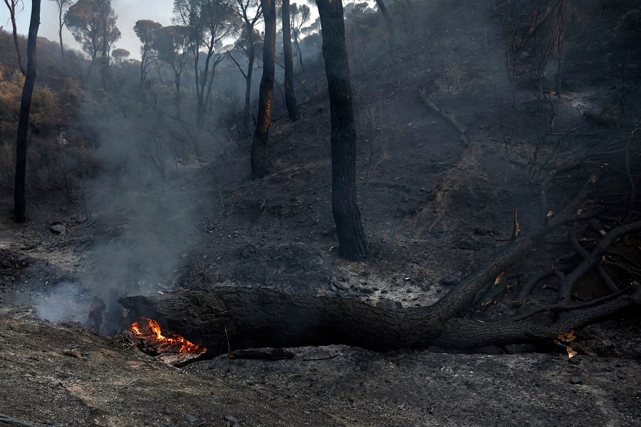 Les gigantesques incendies en France et en Espagne hors de contrôle, plus de 300.000 réfugiés du feu