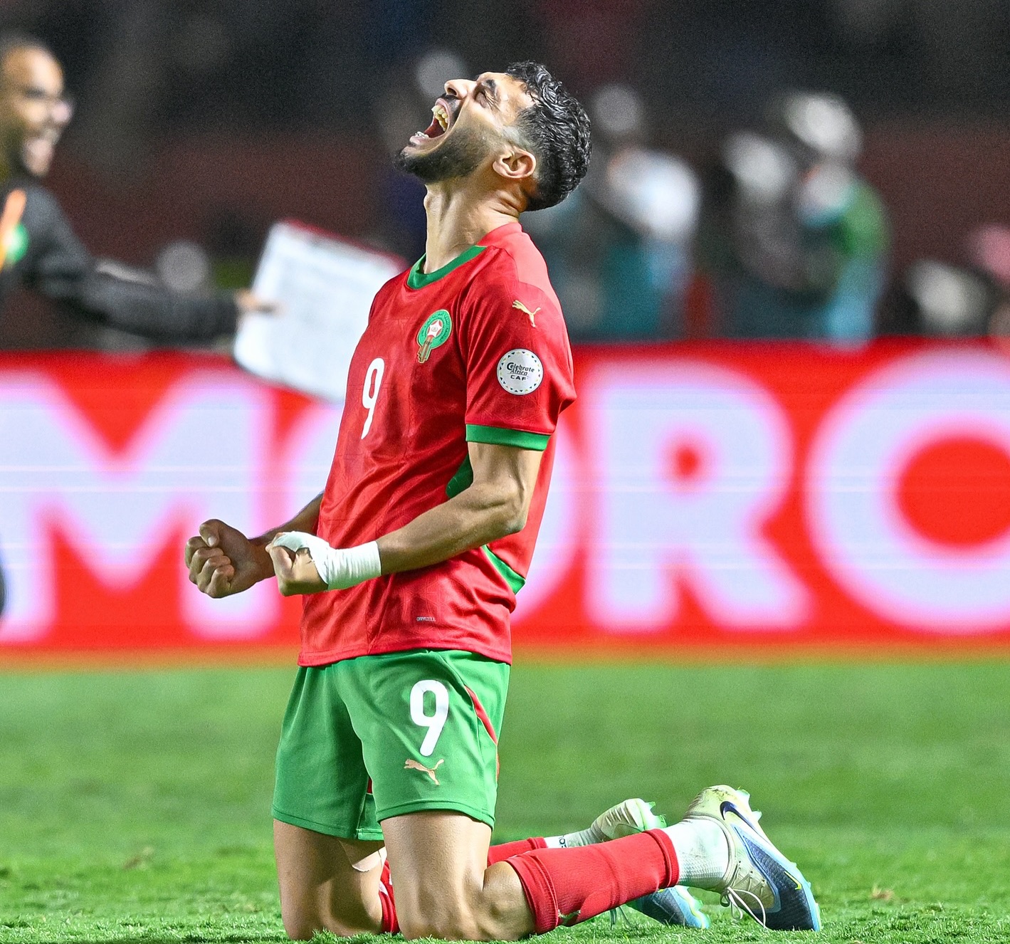 أسامة المليوي