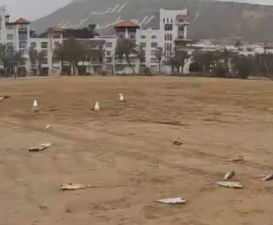 جزء من 