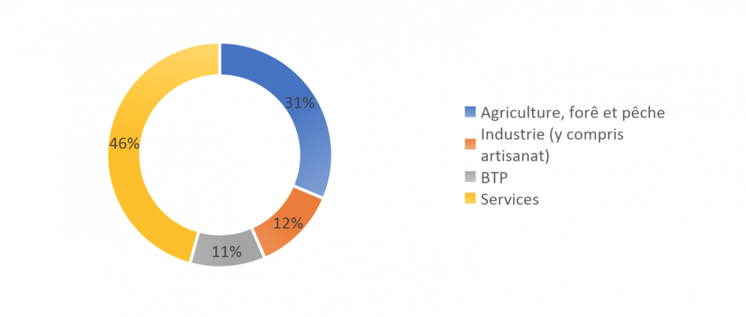 Répartition des actifs occupés selon les secteurs d’activité en 2020