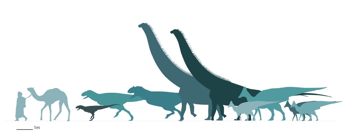Silhouettes des dinosaures du Maastrichtien supérieur du Maroc. Phosphatotitan en bleu foncé, titanosaure de Daoui en bleu clair.