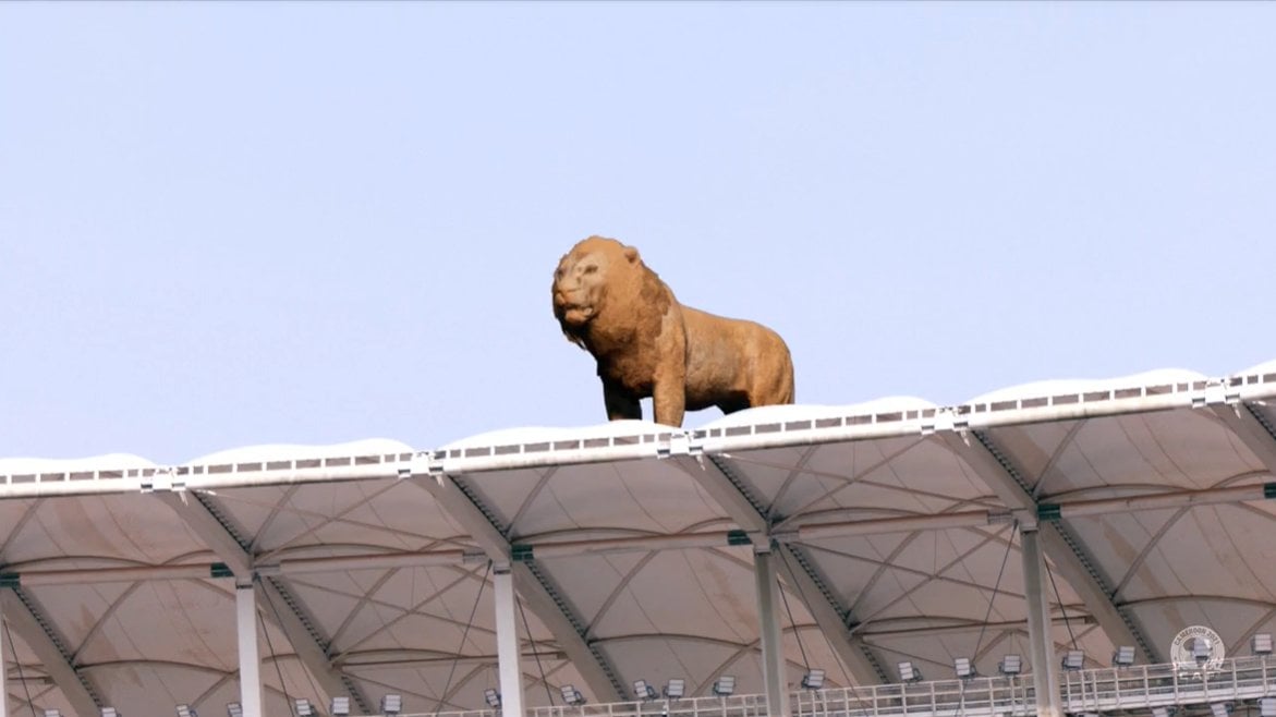 lion