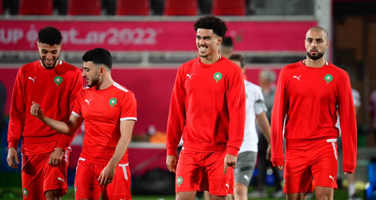 Lions de l'Atlas