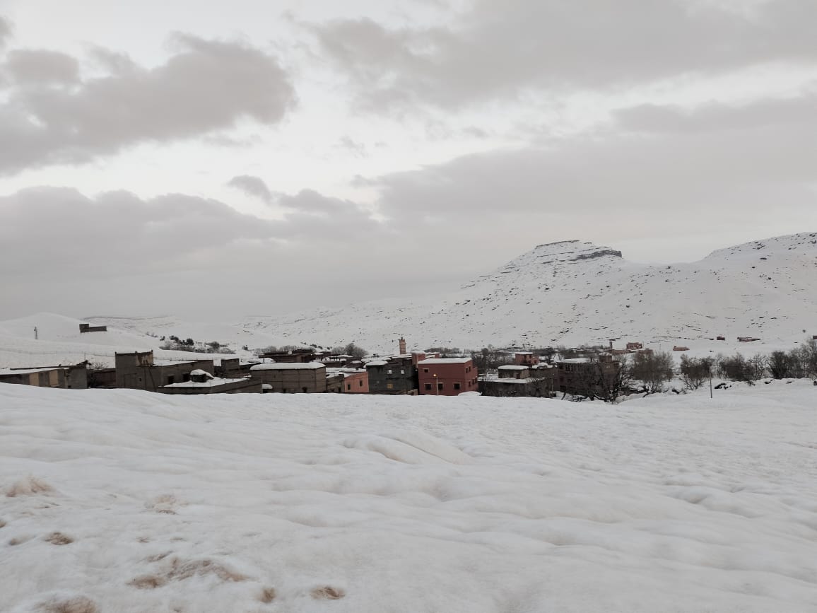 Neiges