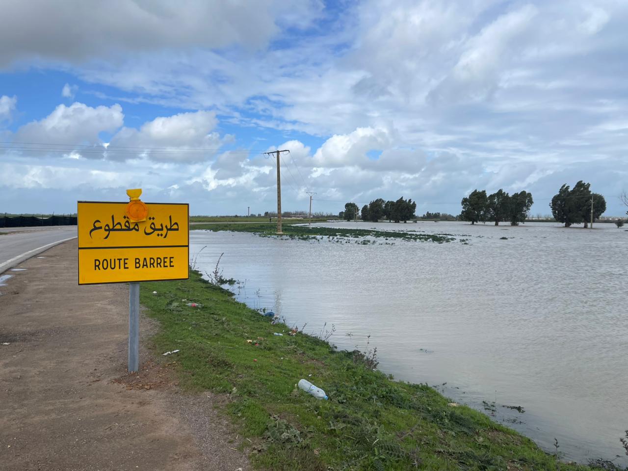 ت
