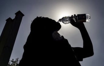 Canicule